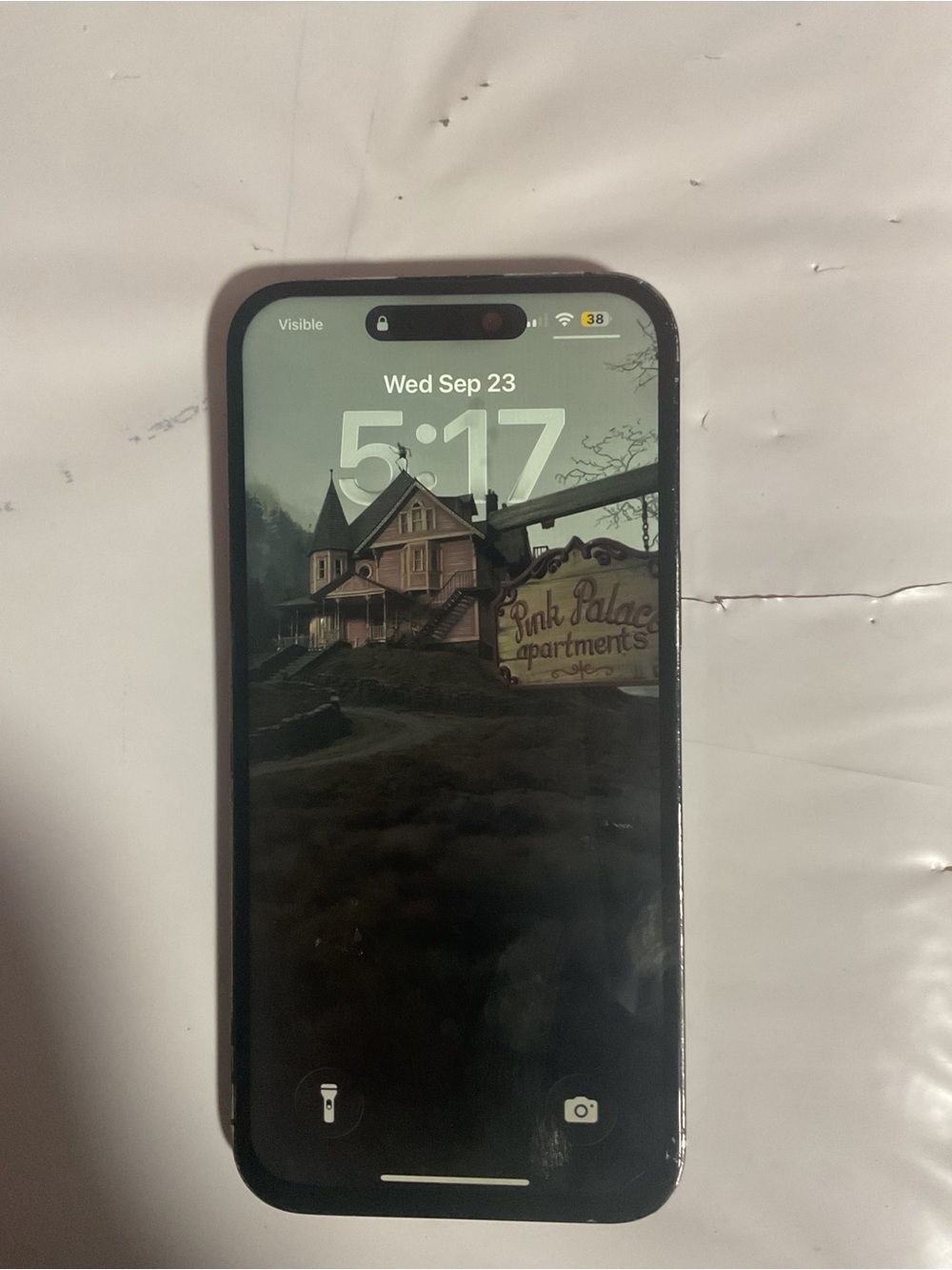 Apple iPhone 14 Pro Max with Black Front and Dark Case